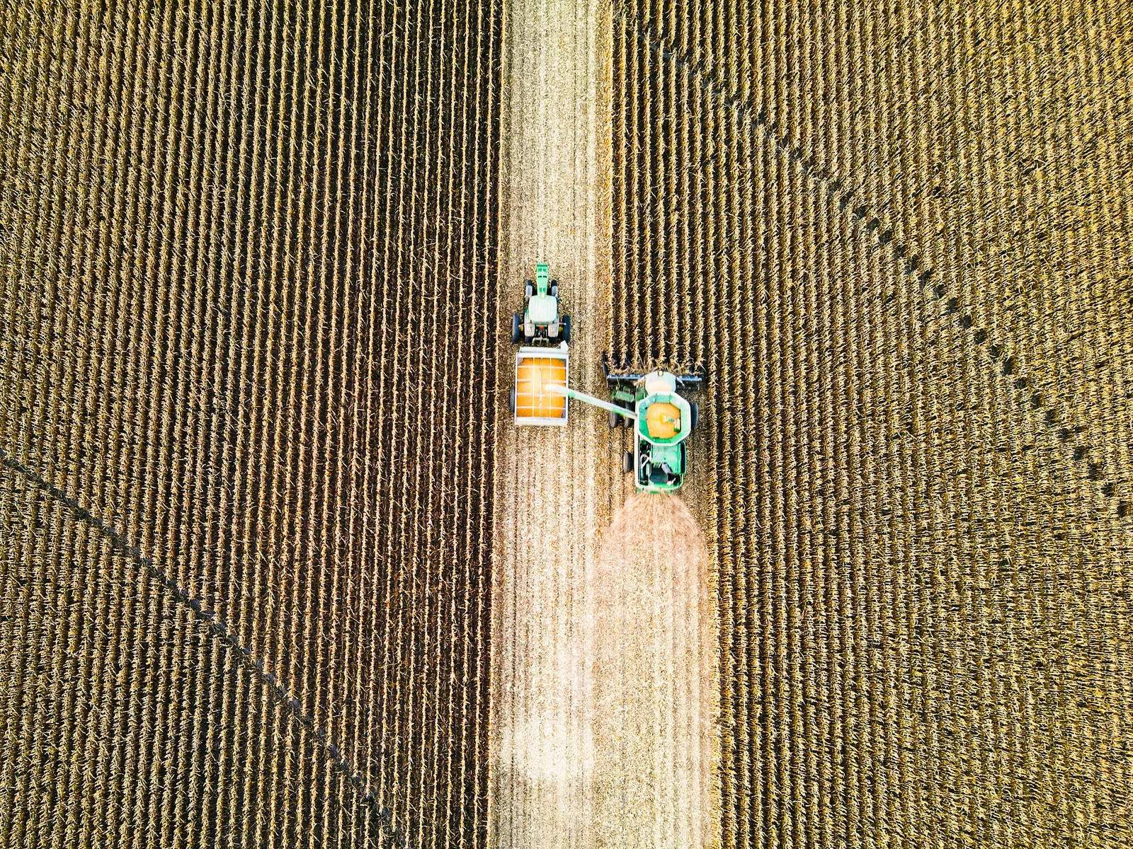 agriculture