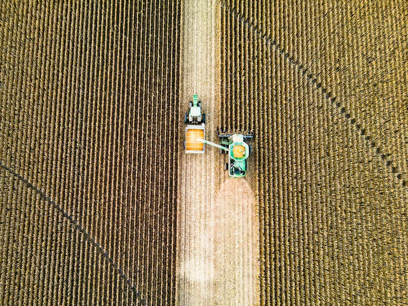 agriculture